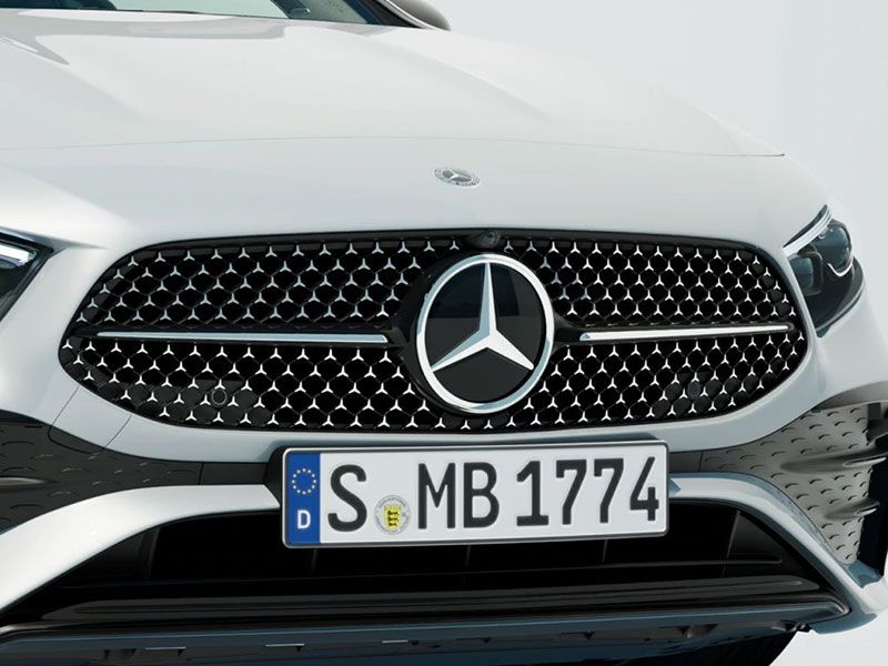 Kühlerverkleidung mit Mercedes-Benz Sternenmuster und Motorhaube mit Powerdomes
